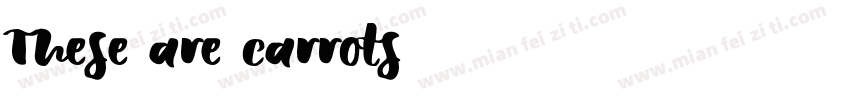These are carrots字体转换